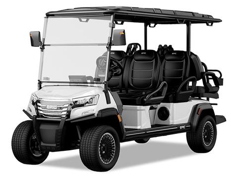 2025 EPIC CARTS E60FX