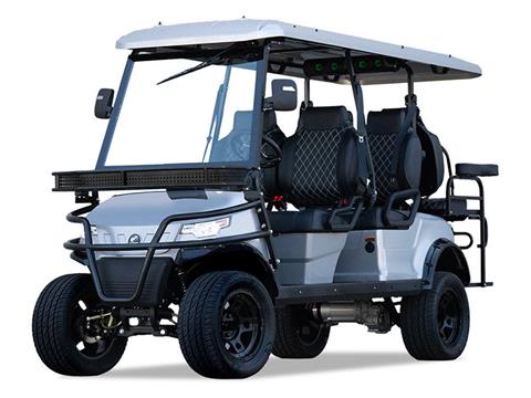 2025 EPIC CARTS E60L