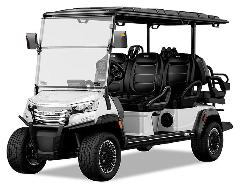 2026 EPIC CARTS E60FX in Bakersfield, California - Photo 1