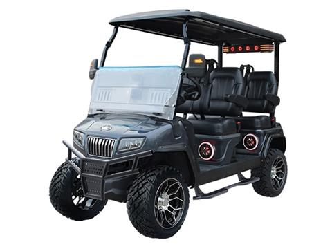 2024 Evolution Electric Vehicles D5 Maverick 4 PLUS