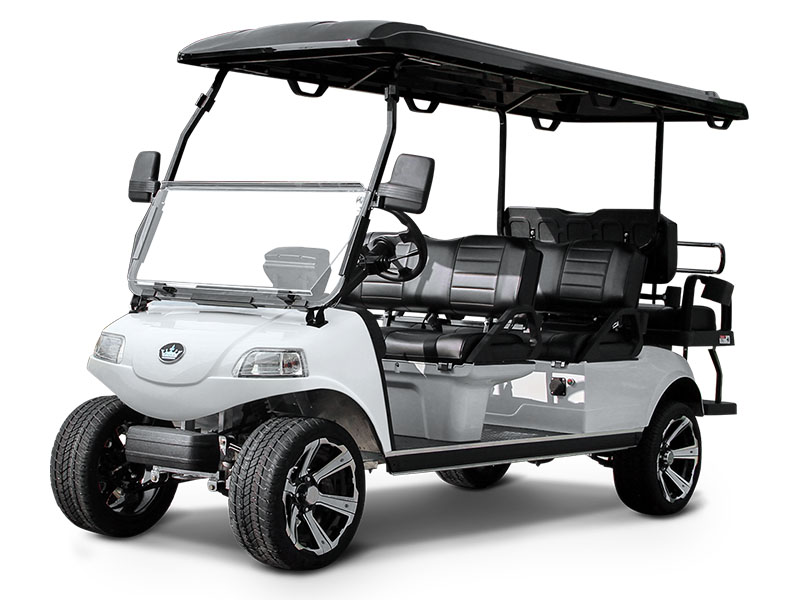 2025 Evolution Electric Vehicles Carrier 6 Plus in Virginia Beach, Virginia - Photo 1