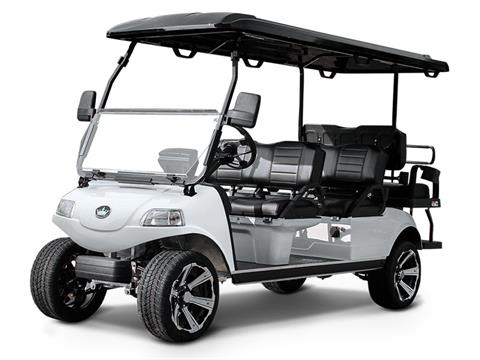 2025 Evolution Electric Vehicles Carrier 6 Plus in Virginia Beach, Virginia - Photo 1
