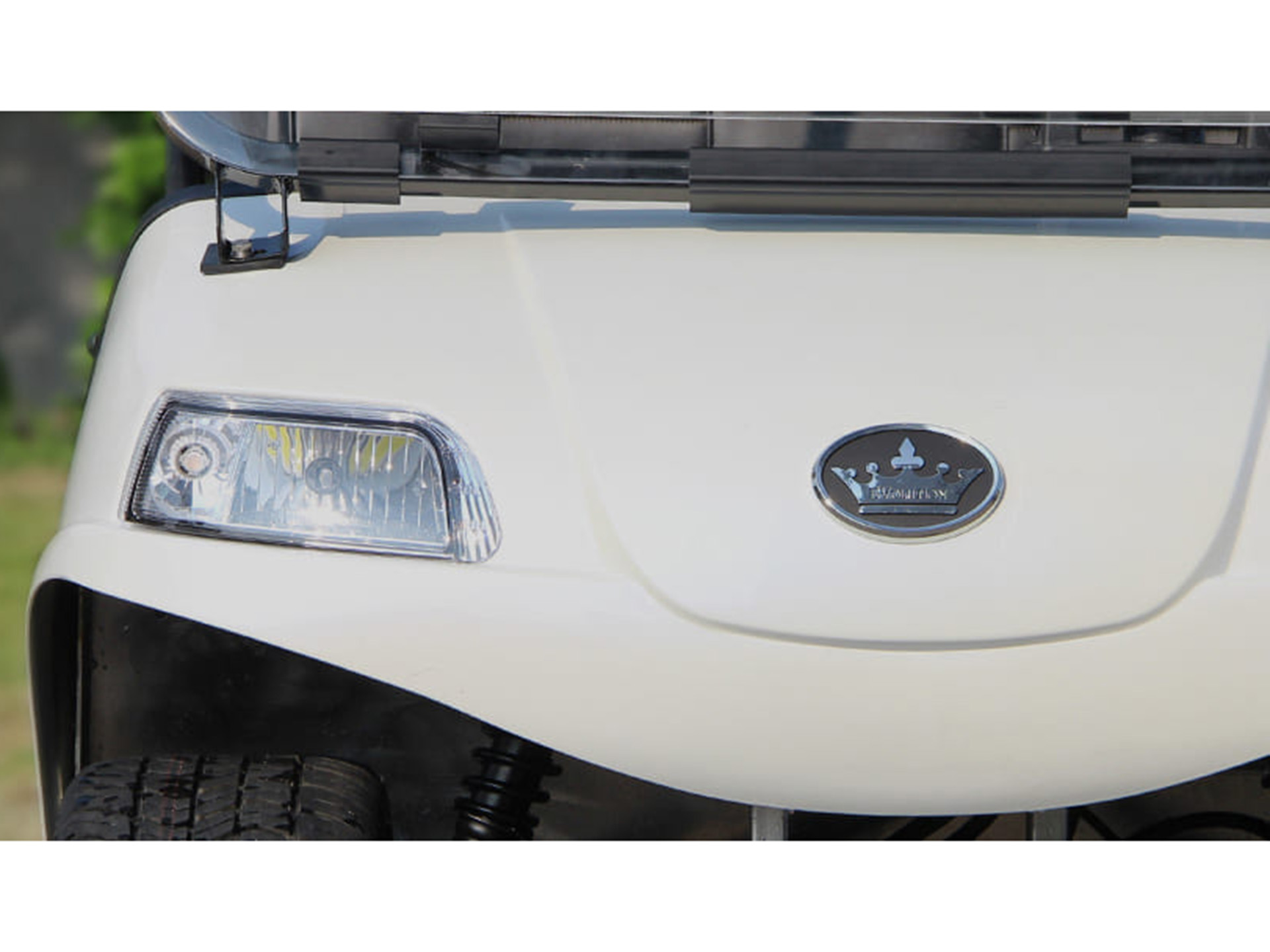 2025 Evolution Electric Vehicles Carrier 8 Plus in Virginia Beach, Virginia - Photo 3