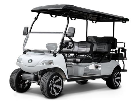2025 Evolution Electric Vehicles Carrier 6 Plus in Virginia Beach, Virginia