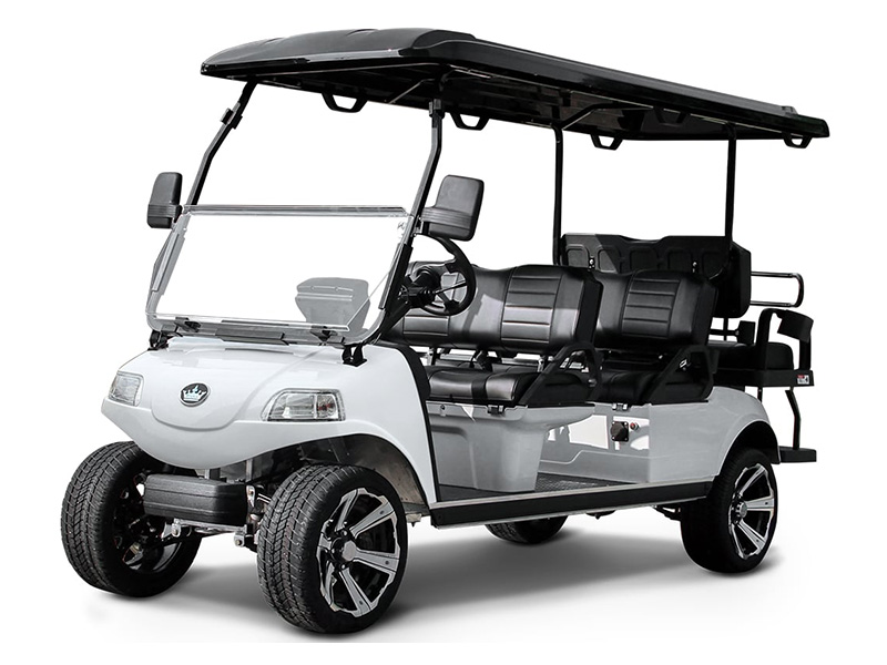 2025 Evolution Electric Vehicles Carrier 6 Plus in Virginia Beach, Virginia - Photo 1
