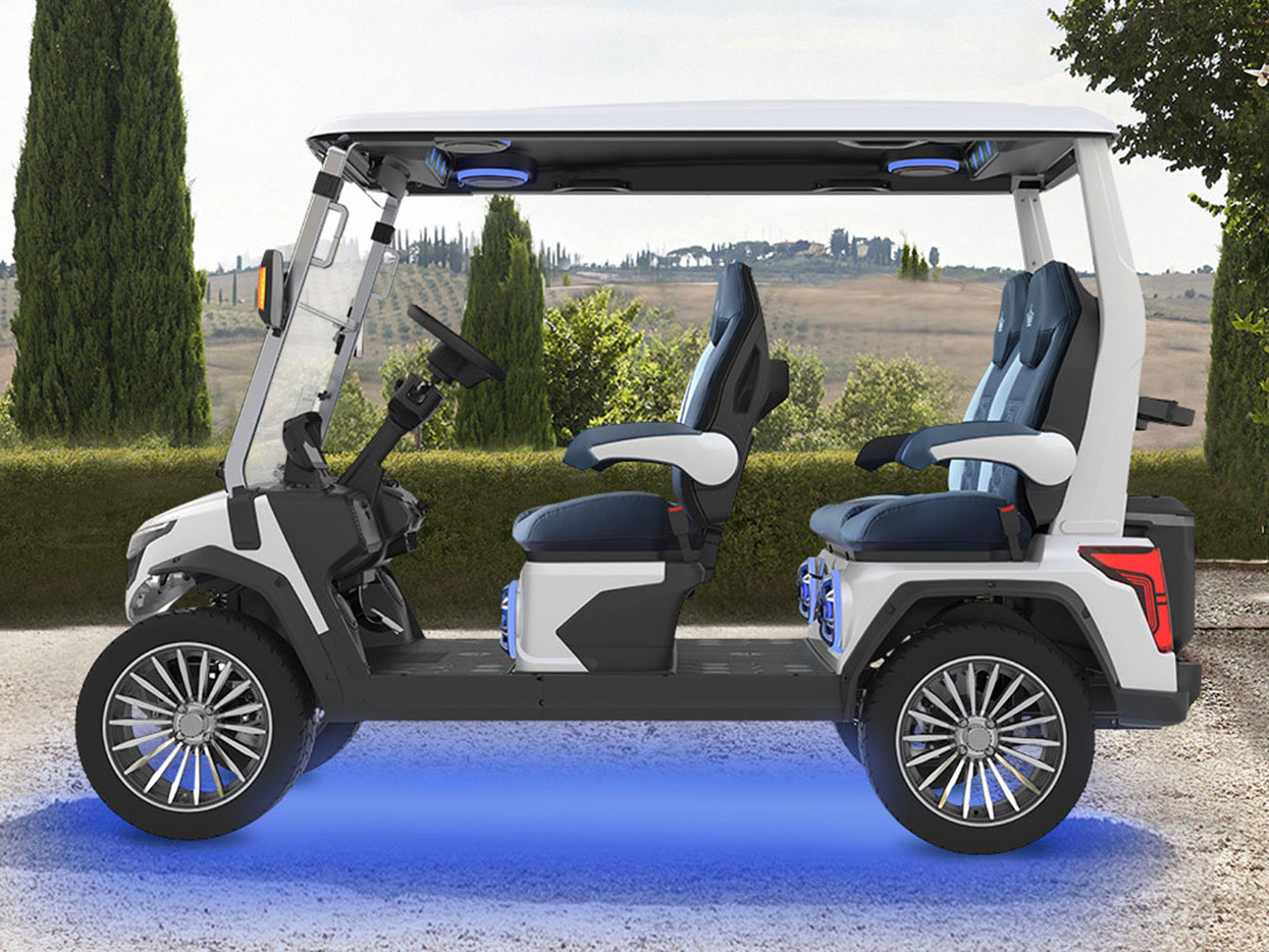 2025 Evolution Electric Vehicles D-Max GT4 in Virginia Beach, Virginia - Photo 16