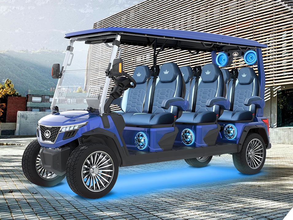 2025 Evolution Electric Vehicles D-Max GT6 in Virginia Beach, Virginia - Photo 16
