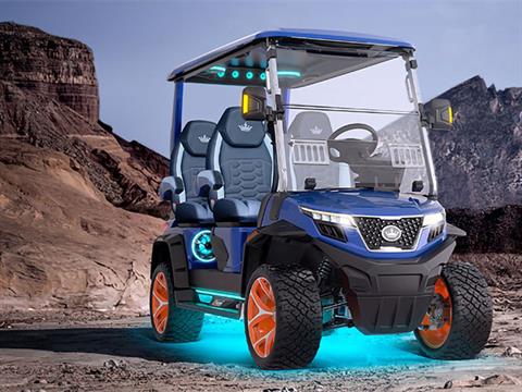 2025 Evolution Electric Vehicles D-Max XT4 in Virginia Beach, Virginia - Photo 18