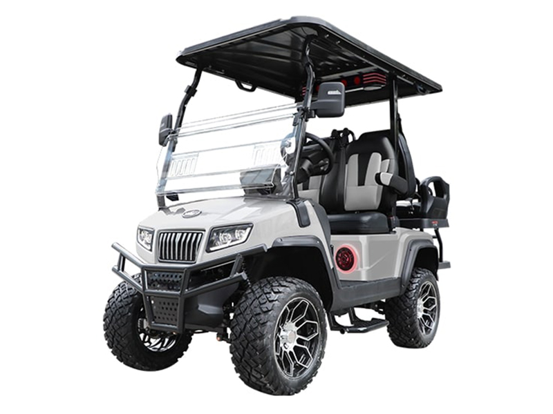 2025 Evolution Electric Vehicles D5 Maverick 2+2 PLUS in Virginia Beach, Virginia - Photo 1