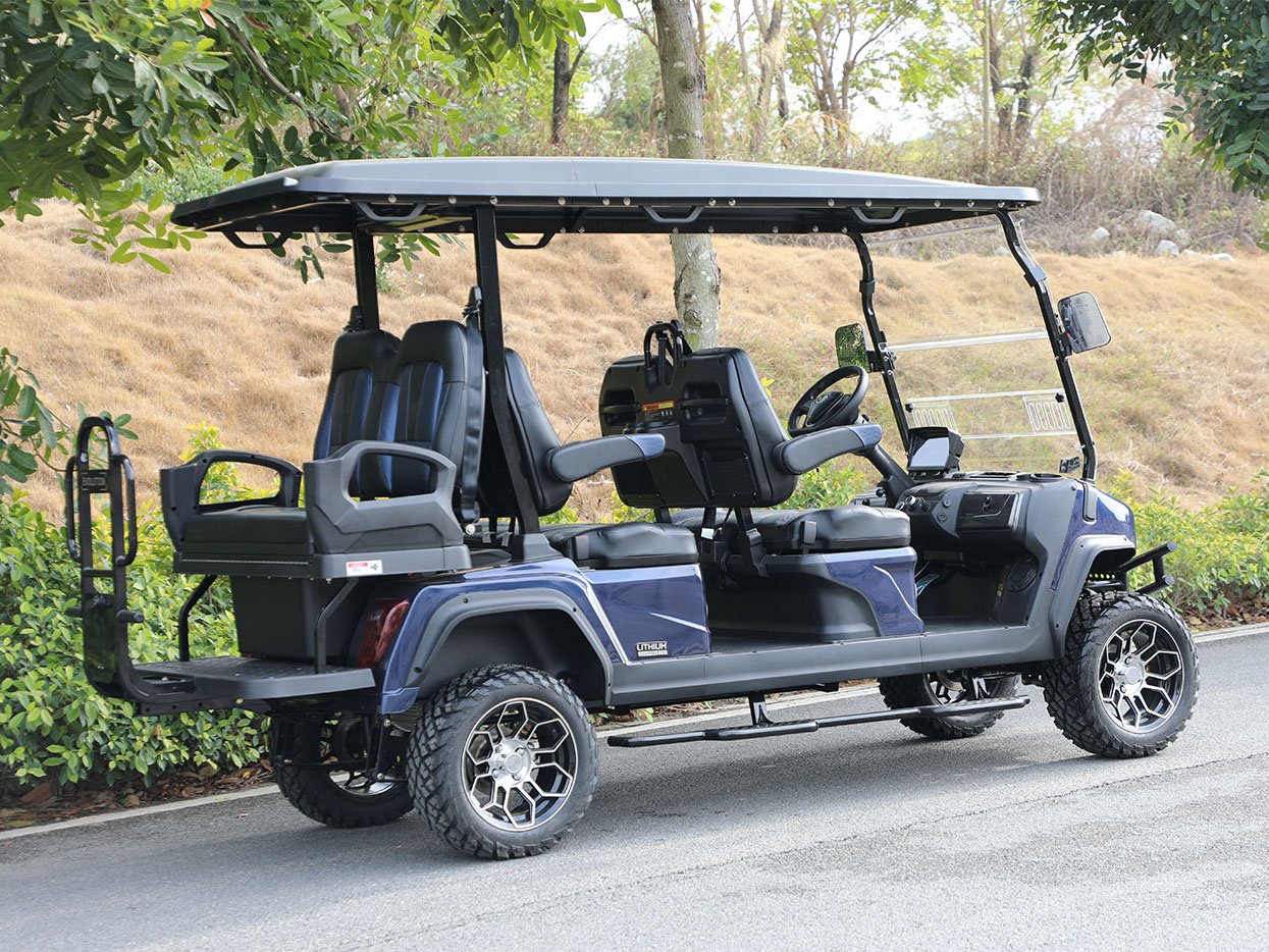 2025 Evolution Electric Vehicles D5 Maverick 4+2 Plus in Virginia Beach, Virginia - Photo 20