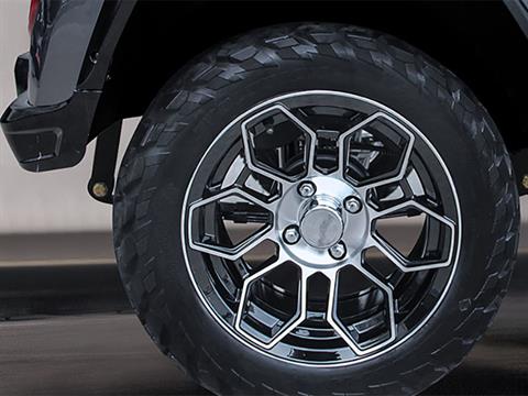 2025 Evolution Electric Vehicles D5 Maverick 4 in Virginia Beach, Virginia - Photo 8
