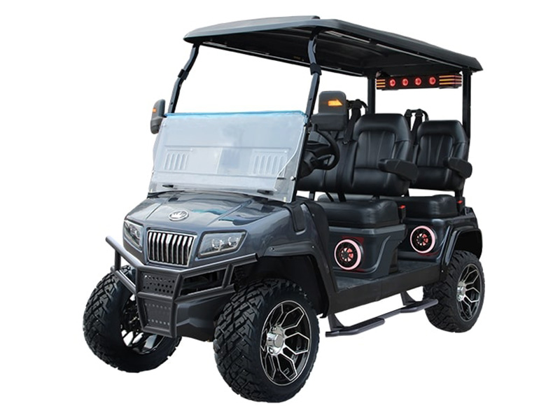 2025 Evolution Electric Vehicles D5 Maverick 4 PLUS in Virginia Beach, Virginia - Photo 1