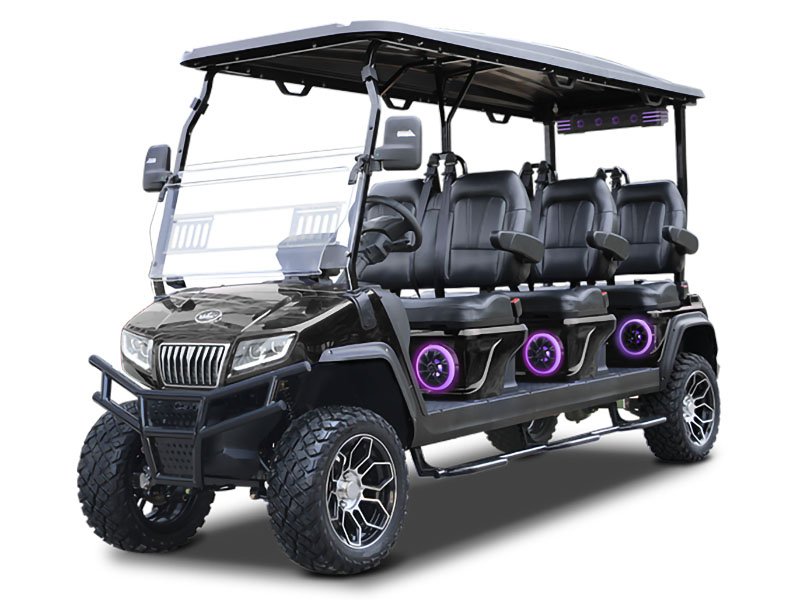 2025 Evolution Electric Vehicles D5 Maverick 6 Plus in Virginia Beach, Virginia - Photo 1