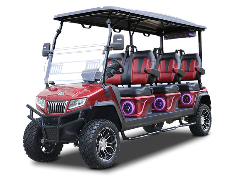 2025 Evolution Electric Vehicles D5 Maverick 6 Plus in Virginia Beach, Virginia - Photo 1