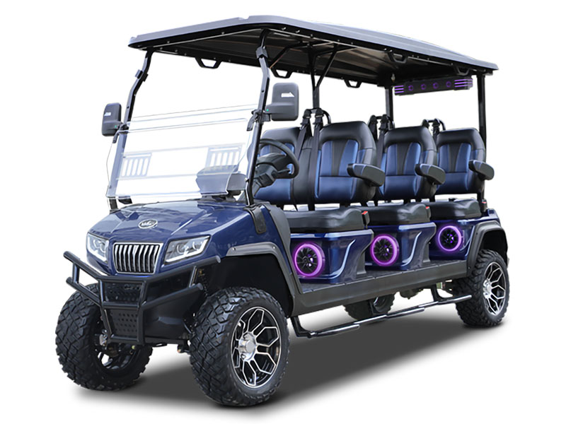 2025 Evolution Electric Vehicles D5 Maverick 6 Plus in Virginia Beach, Virginia - Photo 1