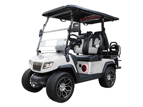 2025 Evolution Electric Vehicles D5 Ranger 2+2 PLUS in Virginia Beach, Virginia