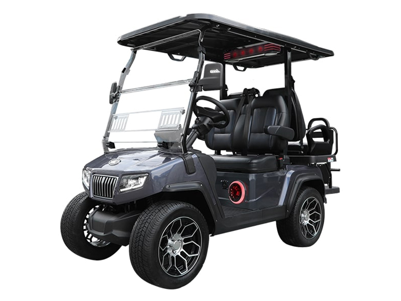 2025 Evolution Electric Vehicles D5 Ranger 2+2 PLUS in Virginia Beach, Virginia - Photo 1