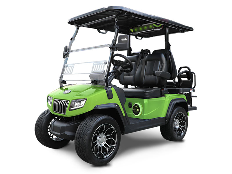 2025 Evolution Electric Vehicles D5 Ranger 2+2 Plus in Virginia Beach, Virginia - Photo 1