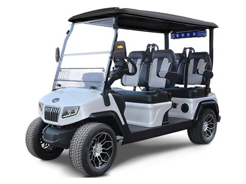 2025 Evolution Electric Vehicles D5 Ranger 4 in Virginia Beach, Virginia