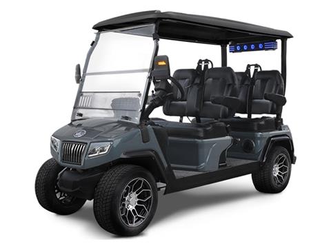 2025 Evolution Electric Vehicles D5 Ranger 4