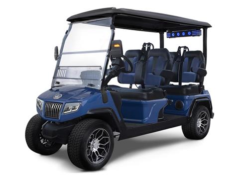 2025 Evolution Electric Vehicles D5 Ranger 4