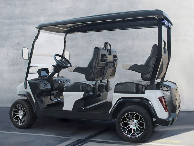 2025 Evolution Electric Vehicles D5 Ranger 4 in Virginia Beach, Virginia - Photo 19