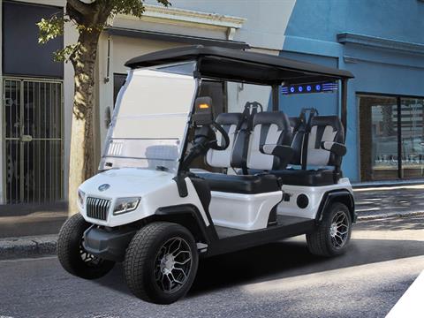 2025 Evolution Electric Vehicles D5 Ranger 4 in Virginia Beach, Virginia - Photo 19