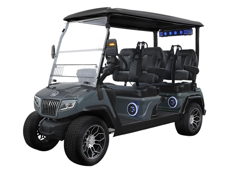 2025 Evolution Electric Vehicles D5 Ranger 4 PLUS in Virginia Beach, Virginia - Photo 1