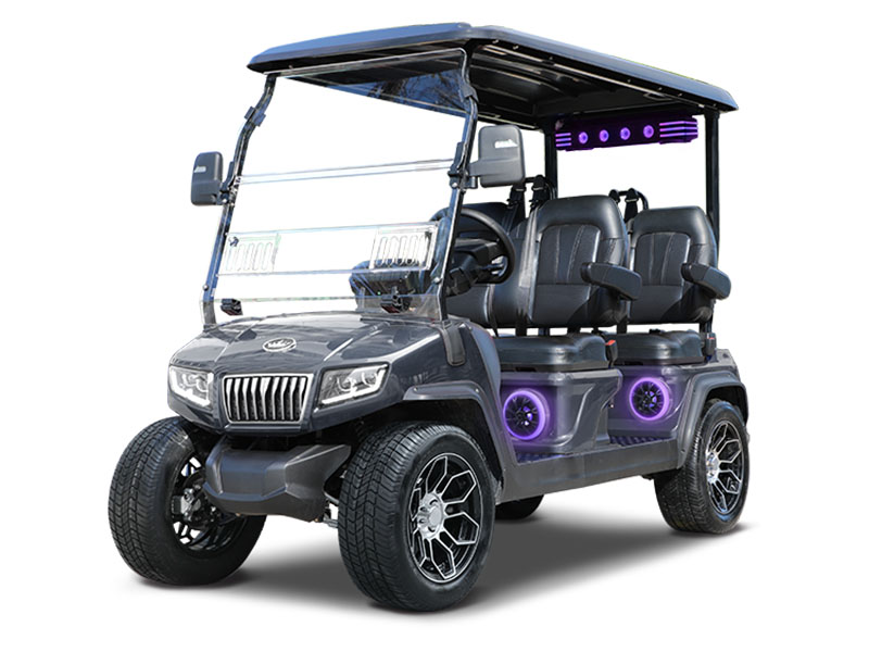 2025 Evolution Electric Vehicles D5 Ranger 4 Plus in Virginia Beach, Virginia - Photo 1