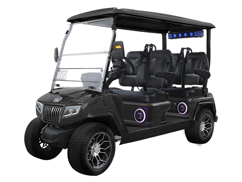 2025 Evolution Electric Vehicles D5 Ranger 4 PLUS in Virginia Beach, Virginia - Photo 1