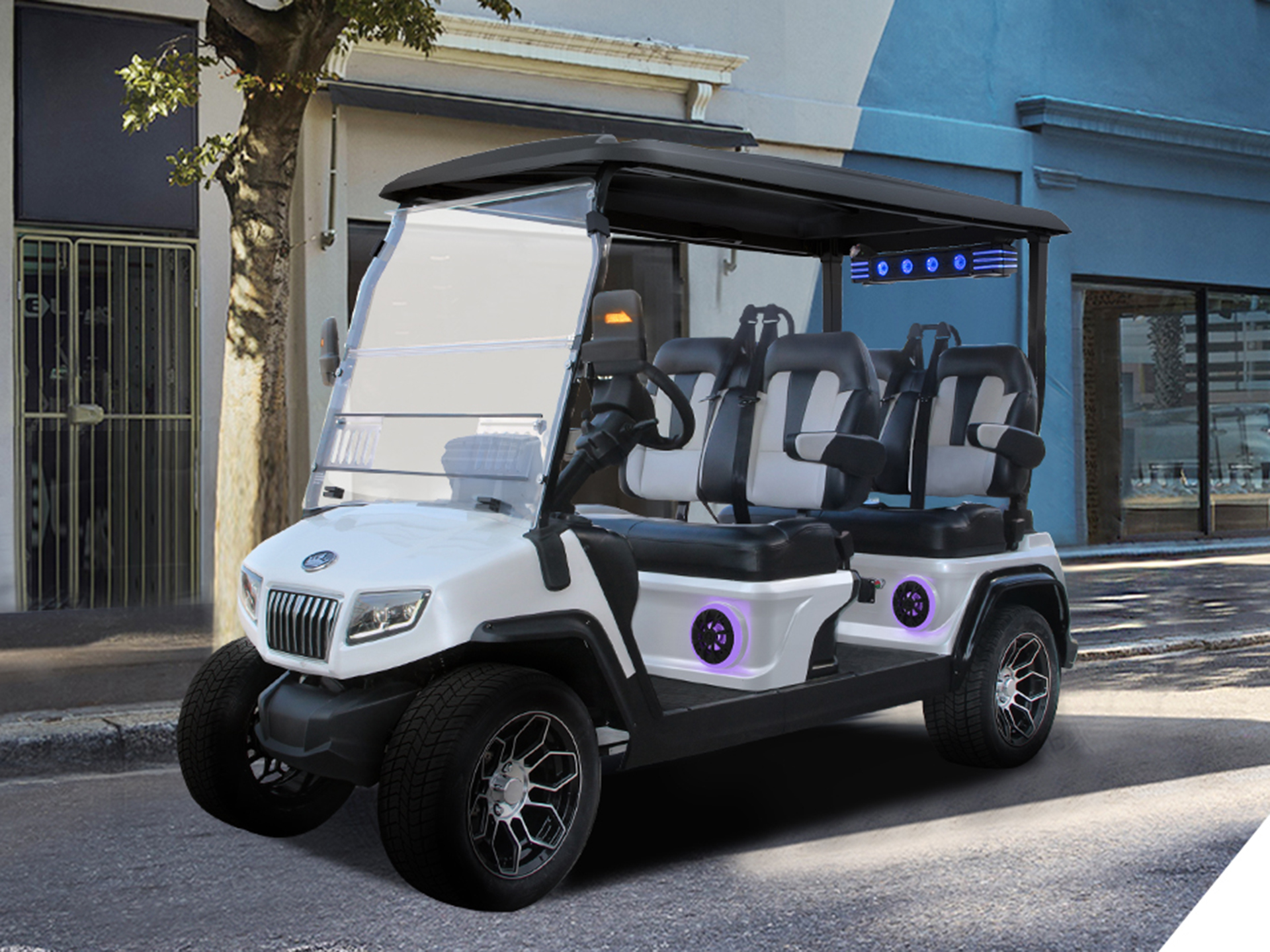 2025 Evolution Electric Vehicles D5 Ranger 4 PLUS in Virginia Beach, Virginia - Photo 19