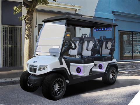 2025 Evolution Electric Vehicles D5 Ranger 4 PLUS in Virginia Beach, Virginia - Photo 19