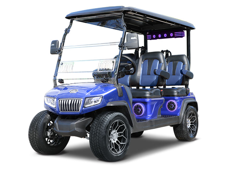 2025 Evolution Electric Vehicles D5 Ranger 4 Plus in Virginia Beach, Virginia - Photo 1