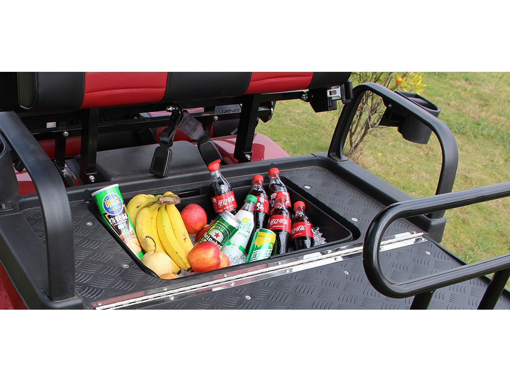 2025 Evolution Electric Vehicles Forester 4 Plus in Rancho Murieta, California - Photo 4