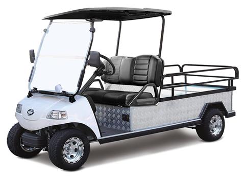 2025 Evolution Electric Vehicles Turfman 1000 in Virginia Beach, Virginia