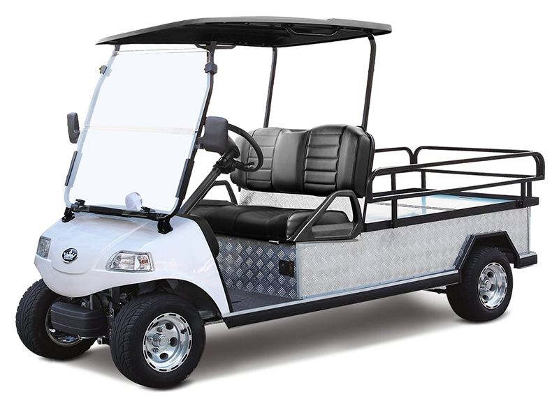 2025 Evolution Electric Vehicles Turfman 1000 in Virginia Beach, Virginia - Photo 1