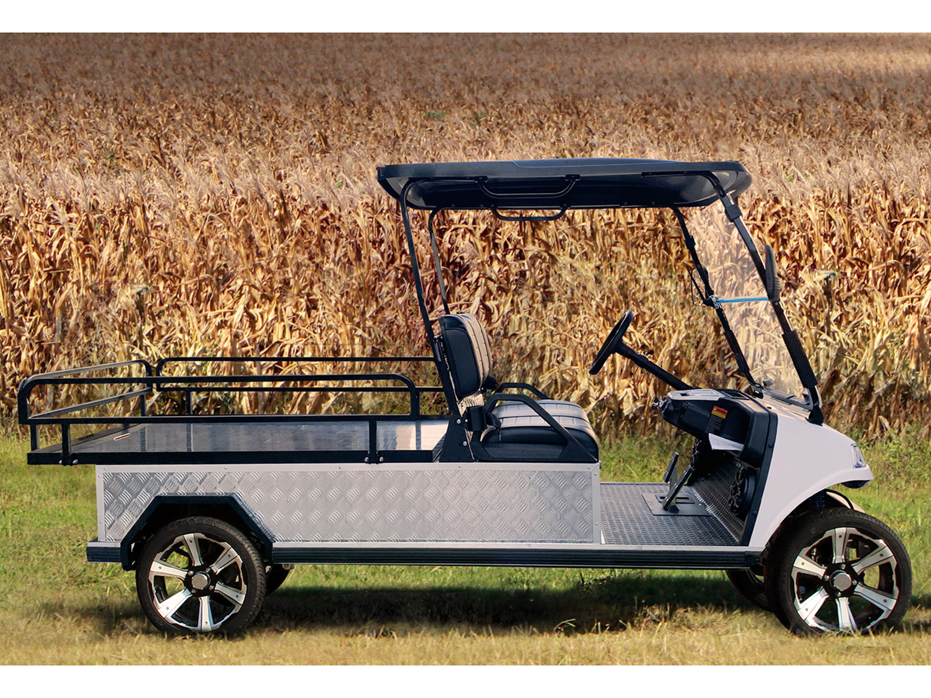 2025 Evolution Electric Vehicles Turfman 1000 in Virginia Beach, Virginia - Photo 17