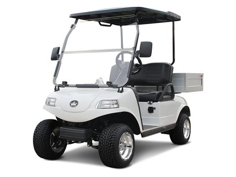 2025 Evolution Electric Vehicles Turfman 200 in Virginia Beach, Virginia