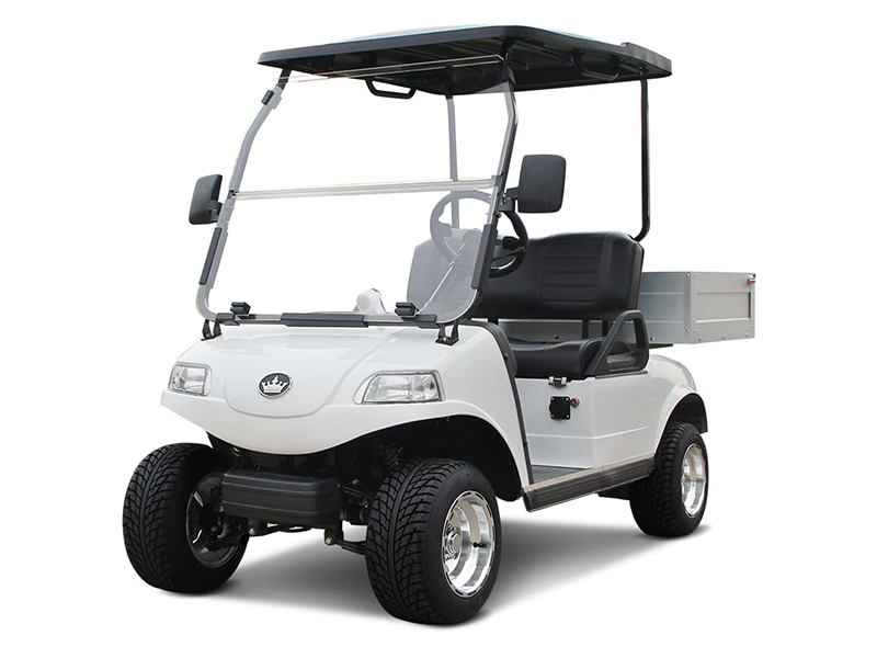 2025 Evolution Electric Vehicles Turfman 200 in Virginia Beach, Virginia - Photo 1
