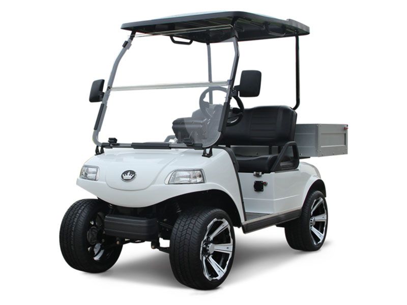 2025 Evolution Electric Vehicles Turfman 200 Plus East in Virginia Beach, Virginia - Photo 1