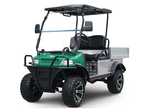 2025 Evolution Electric Vehicles Turfman 800 in Virginia Beach, Virginia