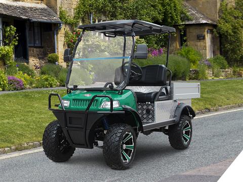 2025 Evolution Electric Vehicles Turfman 800 in Virginia Beach, Virginia - Photo 18