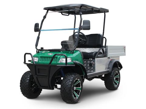 2025 Evolution Electric Vehicles Turfman 800 Plus in Norwalk, Connecticut
