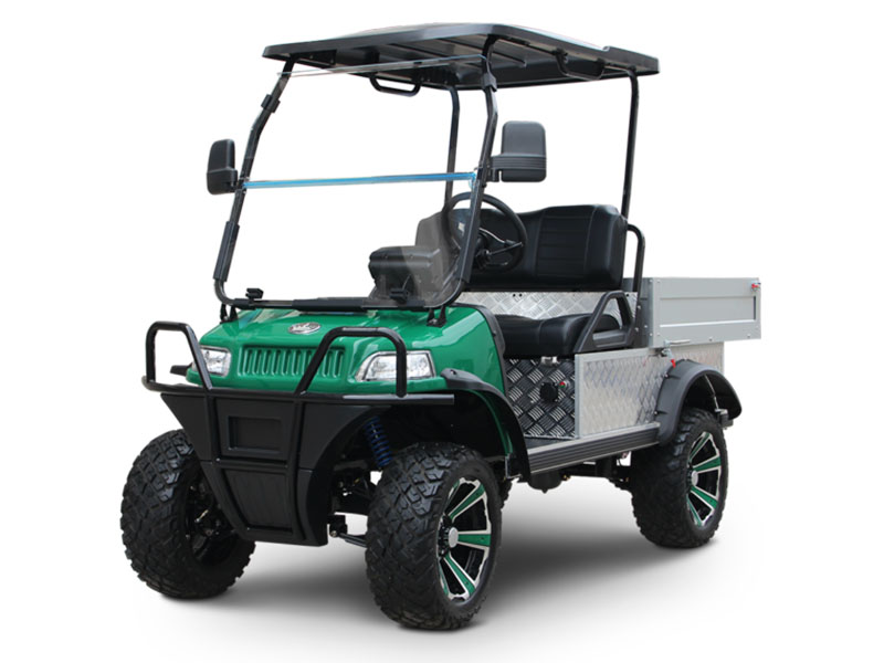 2025 Evolution Electric Vehicles Turfman 800 Plus in Virginia Beach, Virginia - Photo 1