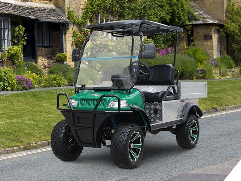 2025 Evolution Electric Vehicles Turfman 800 Plus in Virginia Beach, Virginia - Photo 18