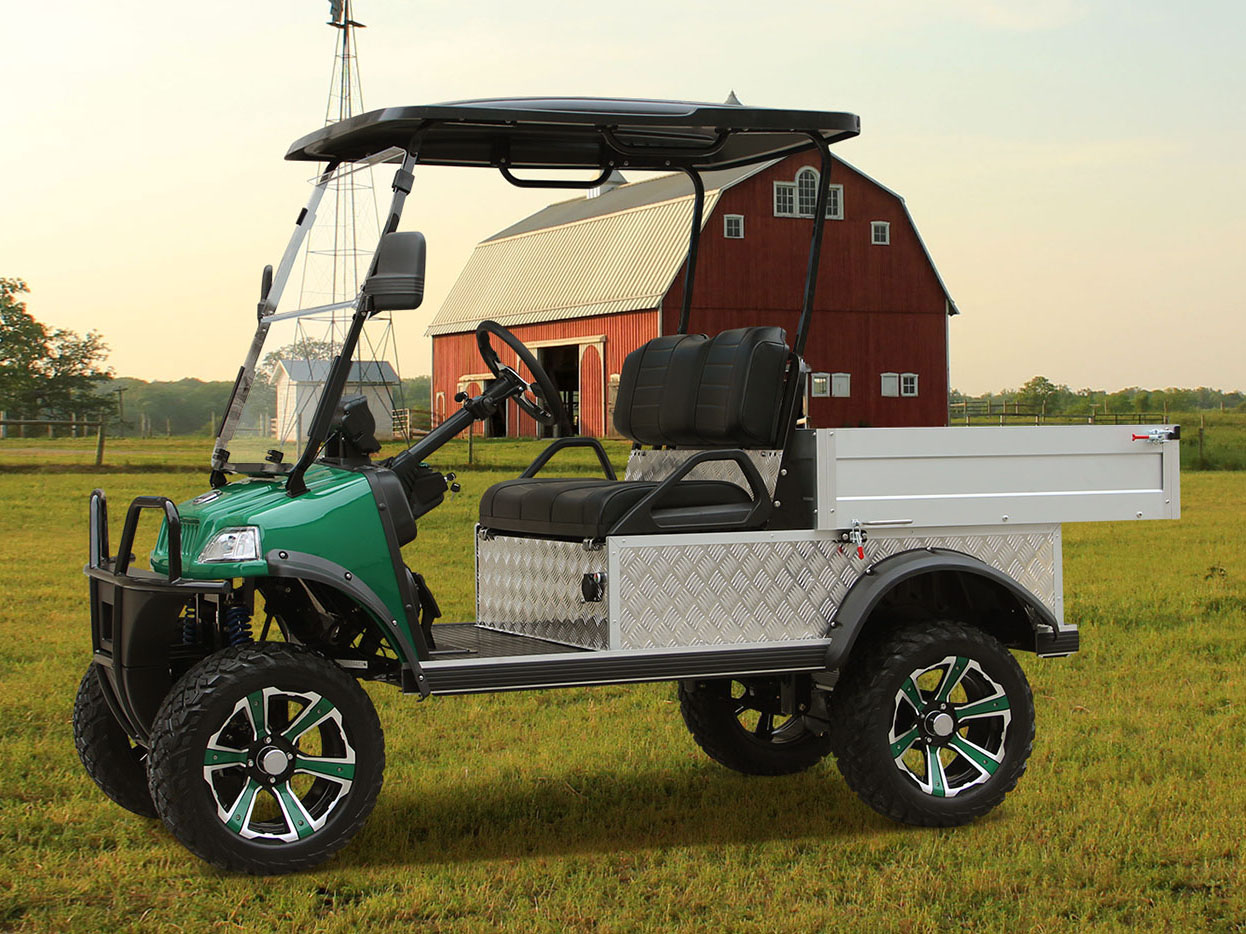 2025 Evolution Electric Vehicles Turfman 800 Plus in Virginia Beach, Virginia - Photo 19