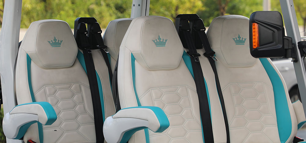 2026 Evolution Electric Vehicles D-Max GT4 in Wesley Chapel, Florida - Photo 6