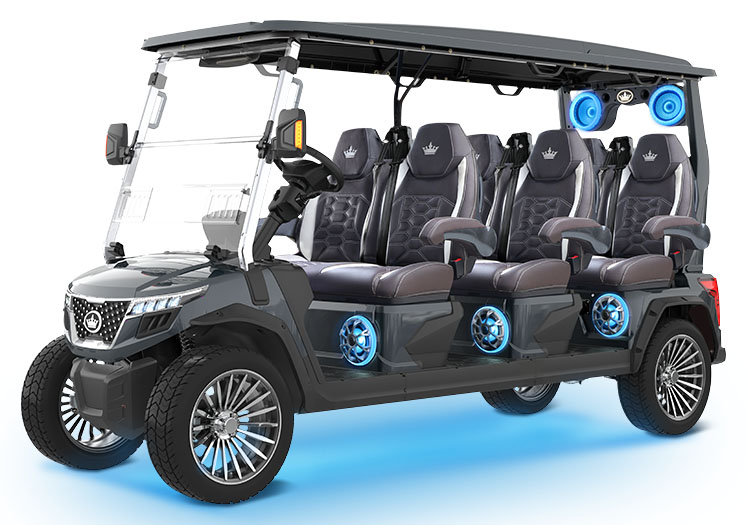 2026 Evolution Electric Vehicles D-Max GT6 in Wesley Chapel, Florida - Photo 1