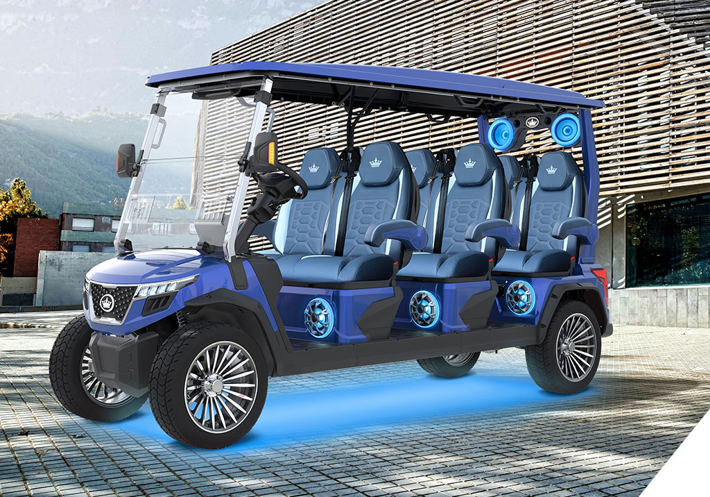 2026 Evolution Electric Vehicles D-Max GT6 in Wesley Chapel, Florida - Photo 19