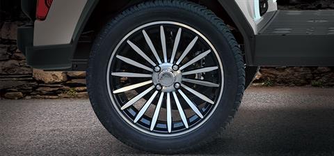 2026 Evolution Electric Vehicles D-Max GT6 in Wesley Chapel, Florida - Photo 10